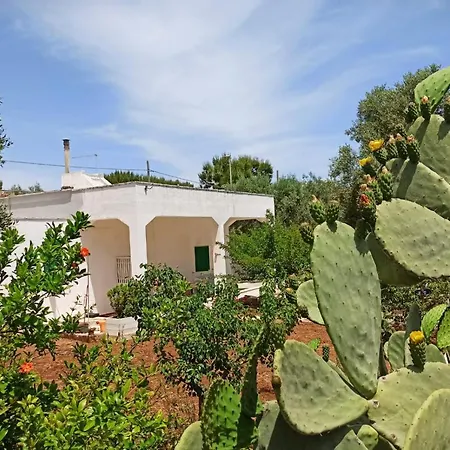 Della Nonna Holiday home Torre Canne