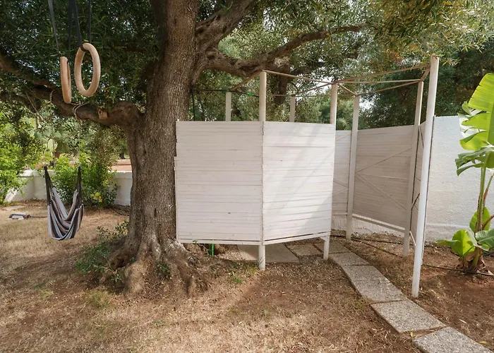 Della Nonna * توري كان