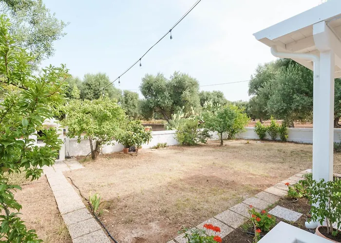 Della Nonna توري كان